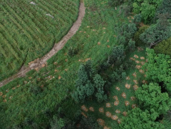 established-environmental-amp-forestry-services-provider-7
