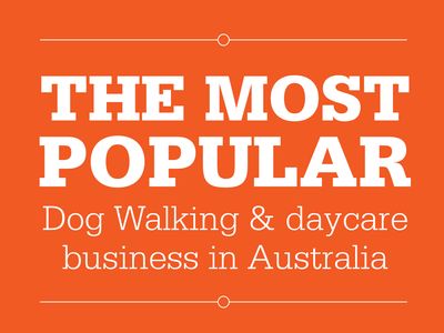 dog-walking-doggy-daycare-in-five-dock-nsw-business-opportunity-8