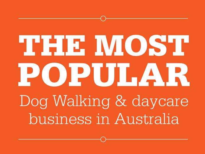 dog-walking-doggy-daycare-in-five-dock-nsw-business-opportunity-8