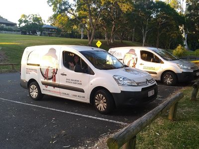 dog-walking-doggy-daycare-in-terrigal-nsw-business-opportunity-6