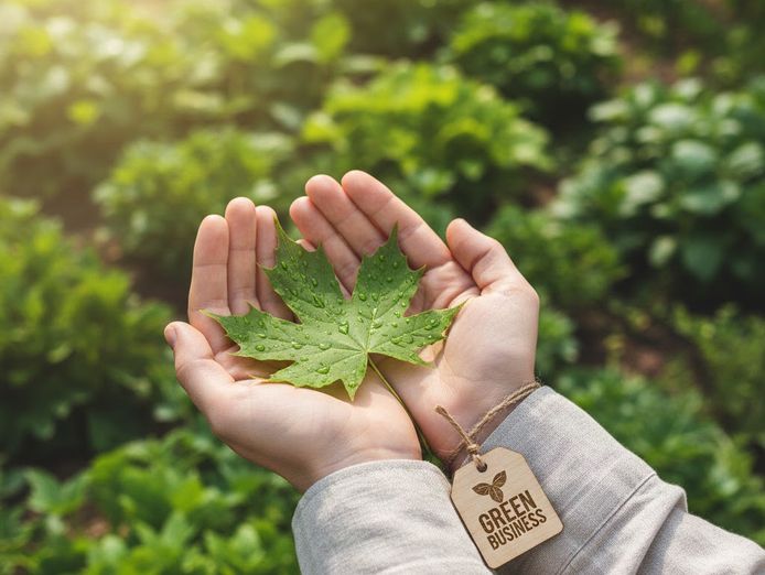 established-eco-b2b-e-comm-business-high-stock-value-great-growth-potential-0