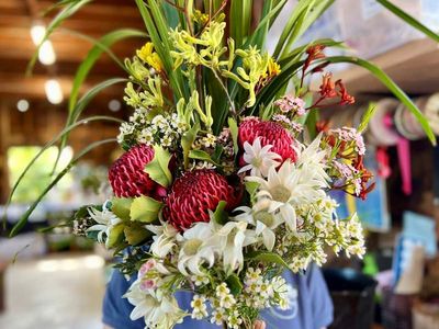 the-wildflower-meadow-established-native-plant-nursery-central-coast-nsw-3