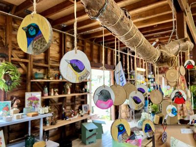 the-wildflower-meadow-established-native-plant-nursery-central-coast-nsw-5