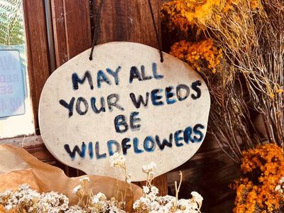 the-wildflower-meadow-established-native-plant-nursery-central-coast-nsw-4