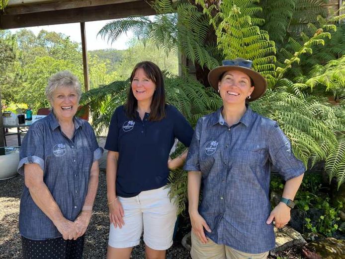 the-wildflower-meadow-established-native-plant-nursery-central-coast-nsw-2