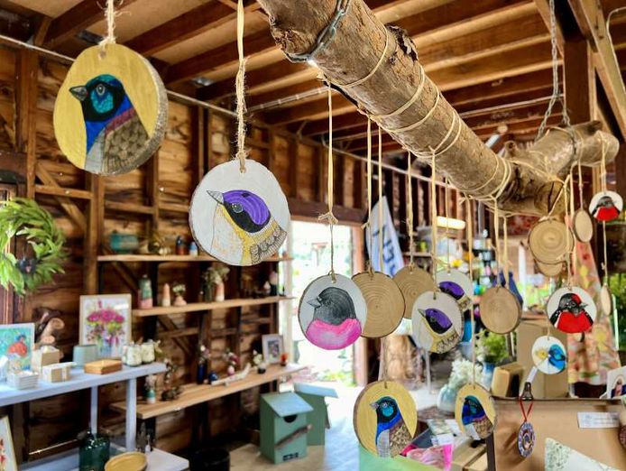 the-wildflower-meadow-established-native-plant-nursery-central-coast-nsw-5