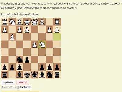 vintaro-chess-chess-learning-platform-puzzles-by-opening-with-3-300-pages-1