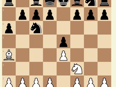 vintaro-chess-chess-learning-platform-puzzles-by-opening-with-3-300-pages-0