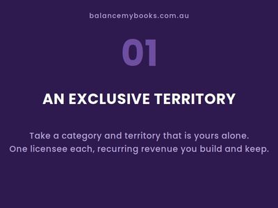 bookkeeping-advisory-franchise-work-from-home-we-do-the-books-2