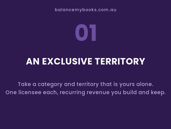 bookkeeping-advisory-franchise-work-from-home-we-do-the-books-2