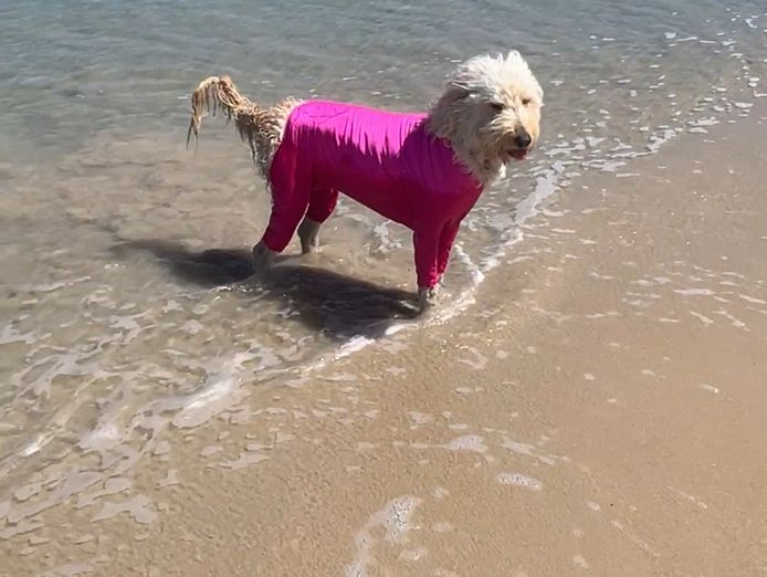 established-brand-long-trading-history-ecommerce-store-easy-to-run-profitable-7