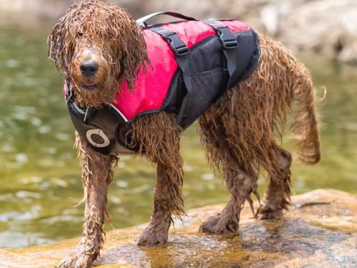 established-brand-long-trading-history-ecommerce-store-easy-to-run-profitable-3