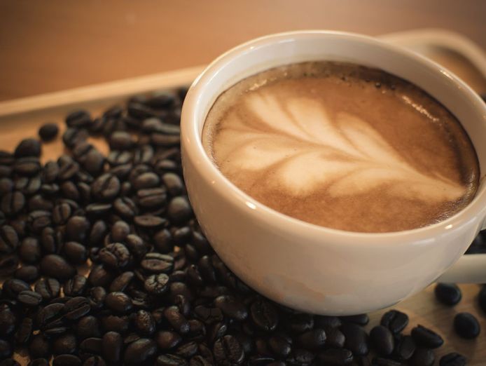 profitable-northern-sunshine-coast-coastal-cafe-for-sale-2