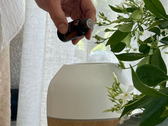 natural-home-fragrance-brand-d2c-and-b2b-3