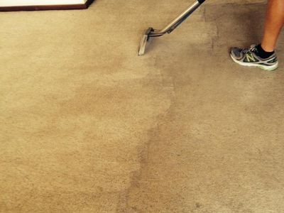 carpet-cleaning-business-4