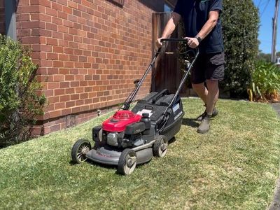 profitable-strata-cleaning-grounds-services-northern-beaches-north-shore-6