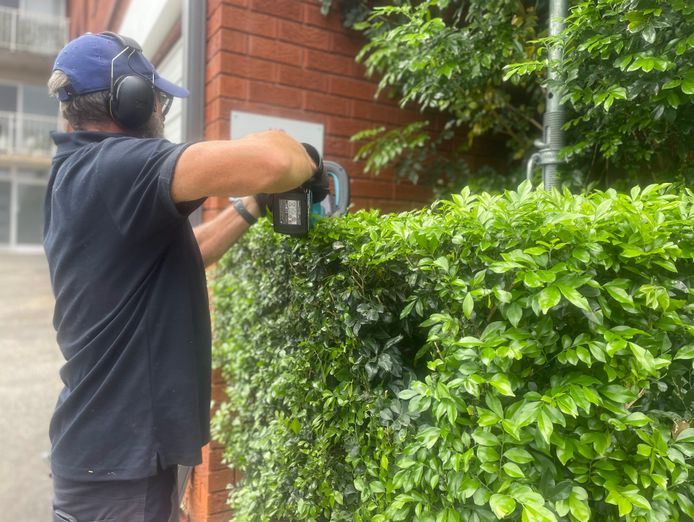 profitable-strata-cleaning-grounds-services-northern-beaches-north-shore-0