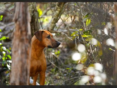 rural-escape-meets-commercial-potential-welcome-to-timber-mill-station-2