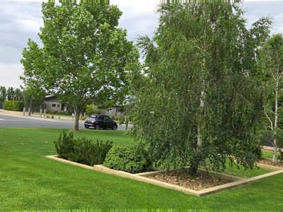 established-lawn-garden-business-for-sale-echuca-moama-6