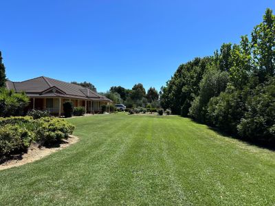 established-lawn-garden-business-for-sale-echuca-moama-8