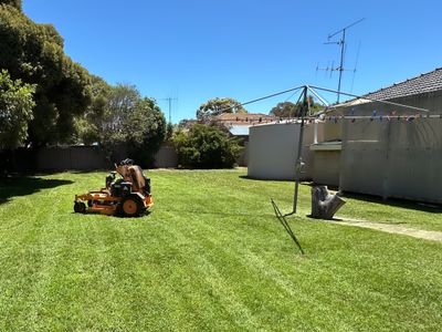 established-lawn-garden-business-for-sale-echuca-moama-7