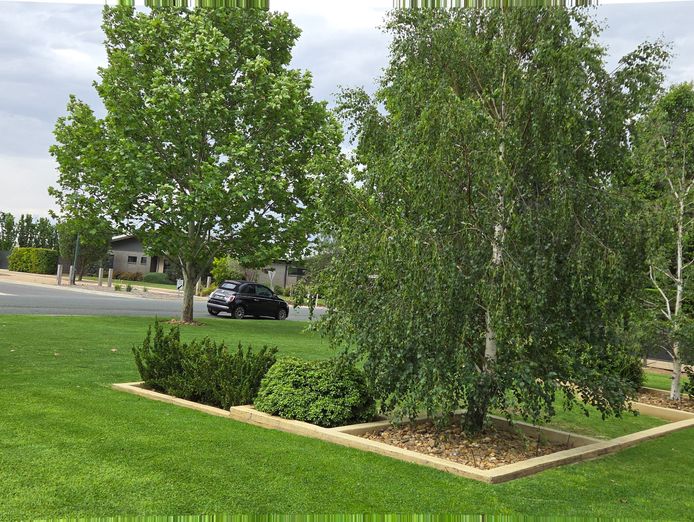 established-lawn-garden-business-for-sale-echuca-moama-6