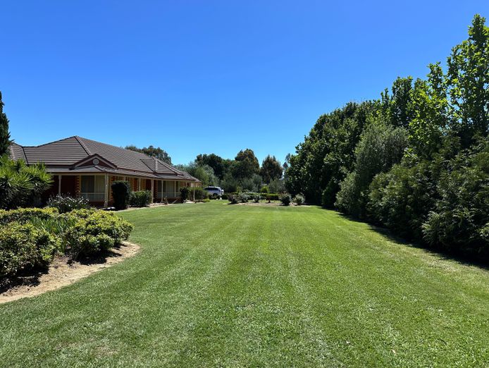 established-lawn-garden-business-for-sale-echuca-moama-8