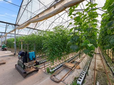 hydroponic-vegetable-crop-farm-land-buildings-amp-machinery-4