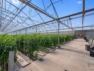 hydroponic-vegetable-crop-farm-land-buildings-amp-machinery-2