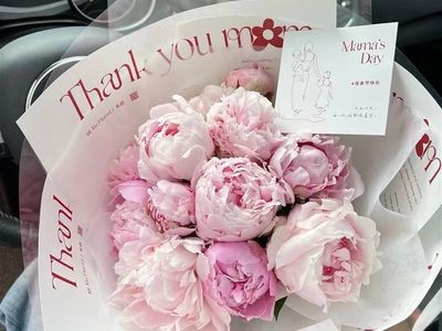 established-florist-with-loyal-customers-in-busy-hobart-cbd-7