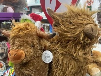 what-39-s-new-launceston-speciality-retail-business-cbd-3