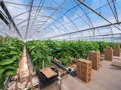 hydroponic-vegetable-crop-farm-land-buildings-amp-machinery-4