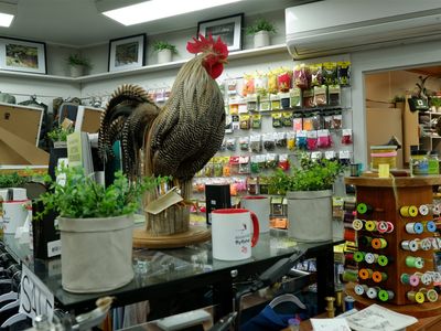 live-the-dream-specialist-fly-fishing-store-in-tasmania-8