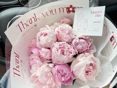 established-florist-with-loyal-customers-in-busy-hobart-cbd-7