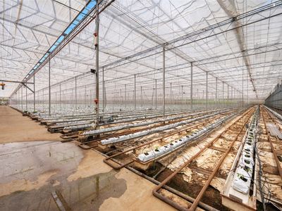 hydroponic-vegetable-crop-farm-land-buildings-amp-machinery-7