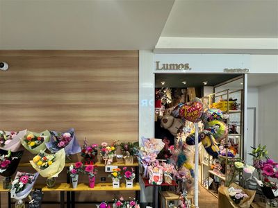established-florist-with-loyal-customers-in-busy-hobart-cbd-0