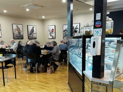renowned-cafe-in-woolworths-complex-long-secure-lease-2