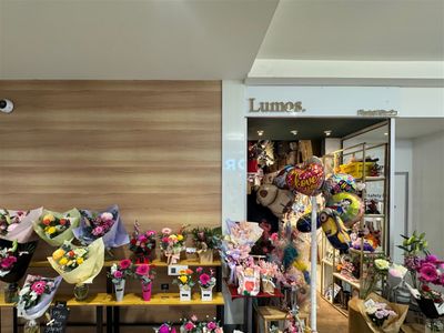 established-florist-and-gift-shop-in-hobart-cbd-0