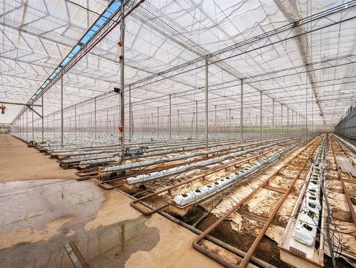 hydroponic-vegetable-crop-farm-land-buildings-amp-machinery-8