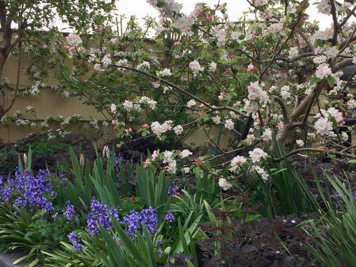 freehold-proven-hospitality-business-in-meander-valley-4