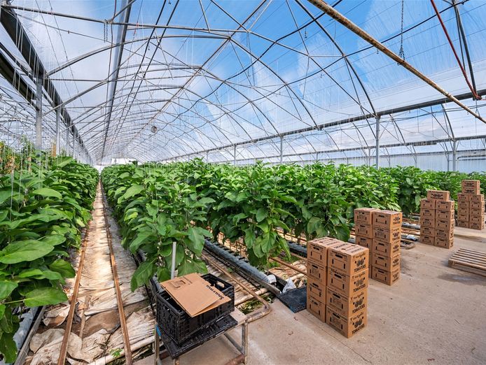 hydroponic-vegetable-crop-farm-land-buildings-amp-machinery-3