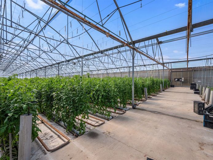 hydroponic-vegetable-crop-farm-land-buildings-amp-machinery-3