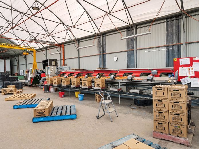 hydroponic-vegetable-crop-farm-land-buildings-amp-machinery-7