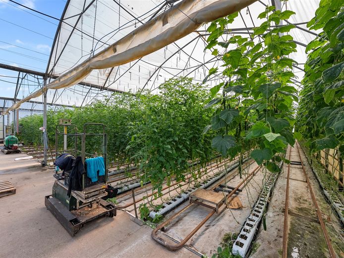 hydroponic-vegetable-crop-farm-land-buildings-amp-machinery-5