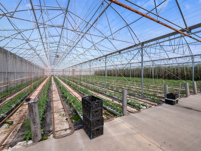 hydroponic-vegetable-crop-farm-land-buildings-amp-machinery-1