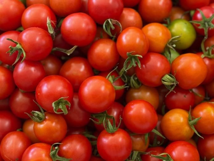fresh-local-produce-speciality-foods-fruit-amp-veg-boxes-2