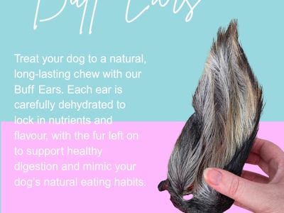 nts-first-only-freeze-dried-pet-food-business-0