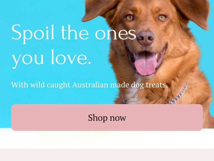 nts-first-only-freeze-dried-pet-food-business-8