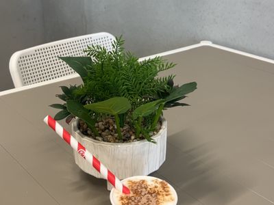 profitable-kids-sensory-play-centre-for-sale-3