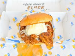 Own a Hot Chicken Franchise, 2 Bros 